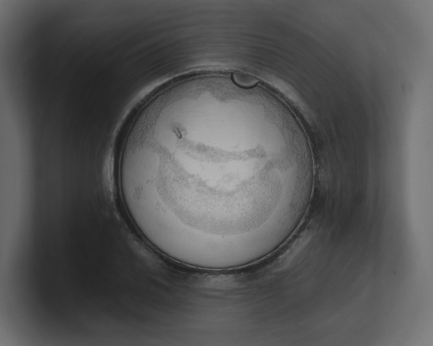 X0000100481030200806271158