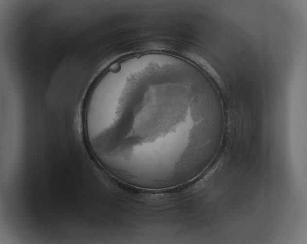 X0000100481031200806271158