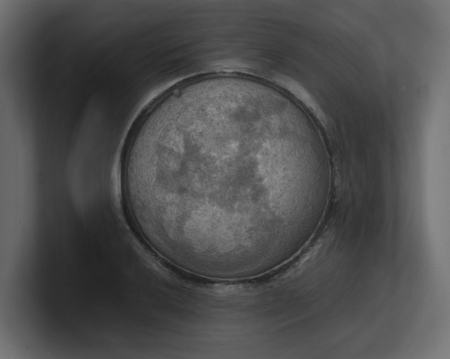 X0000100481032200806271158