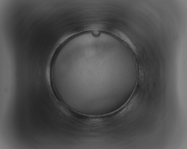 X0000100481035200806271158