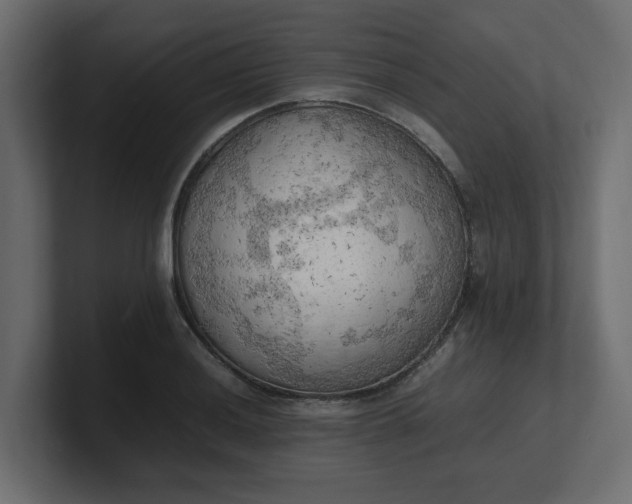 X0000100481036200806271158