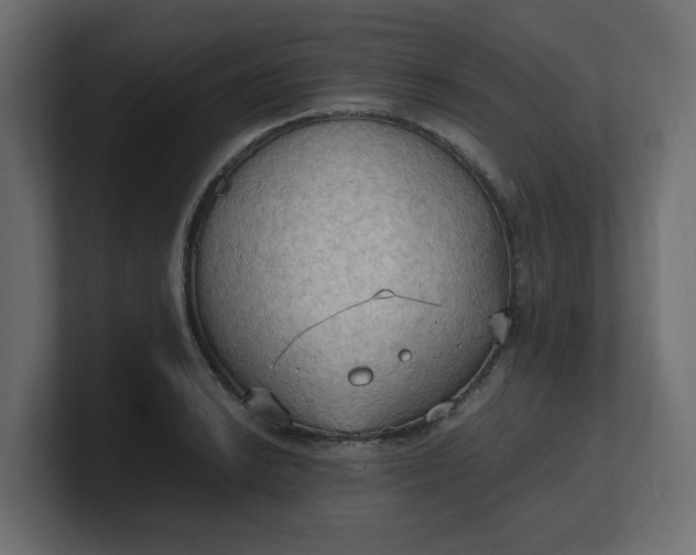 X0000100481038200806271158