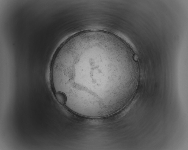 X0000100481040200806271158
