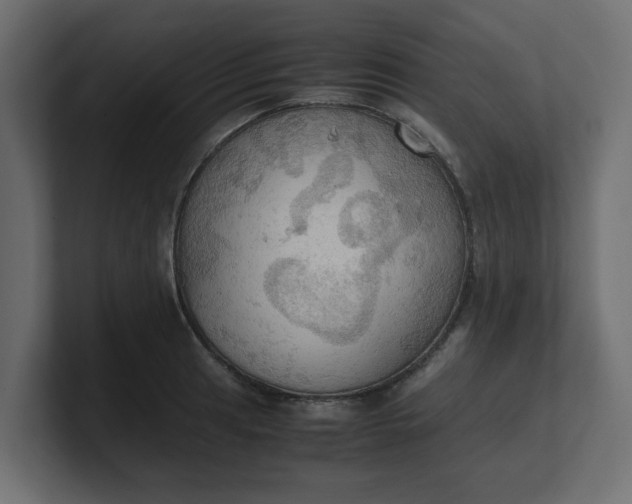 X0000100481041200806271158