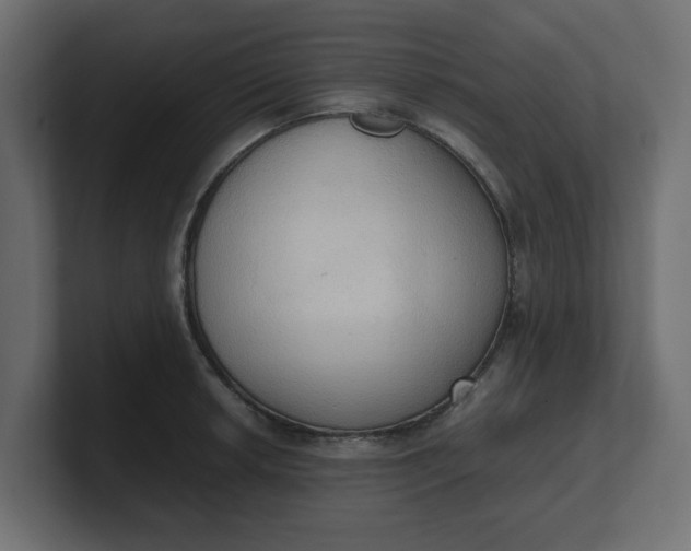 X0000100481042200806271158
