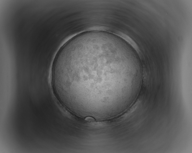 X0000100481044200806271158