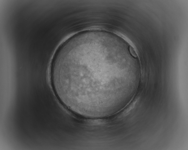 X0000100481045200806271158