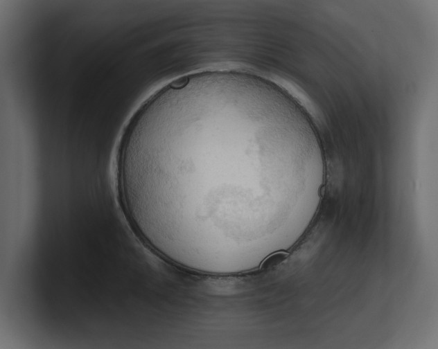 X0000100481046200806271158