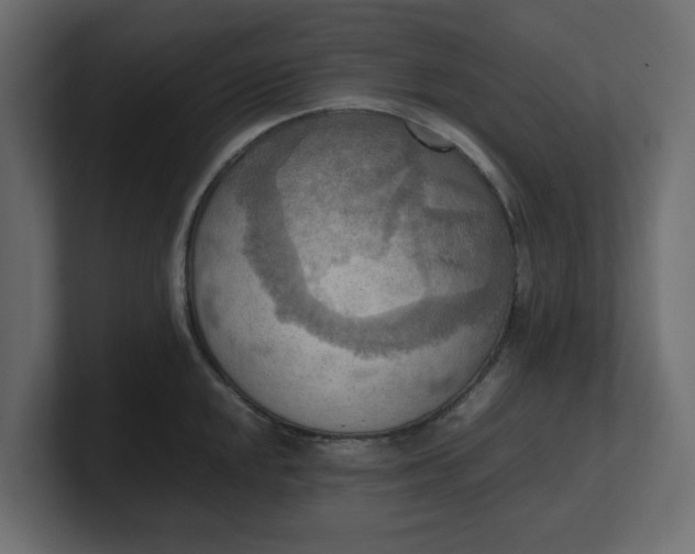 X0000100481048200806271158