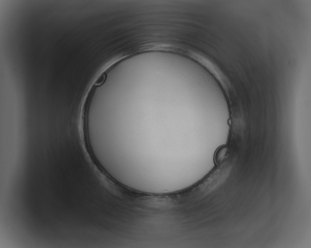 X0000100481050200806271158