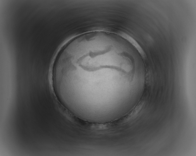 X0000100481051200806271158