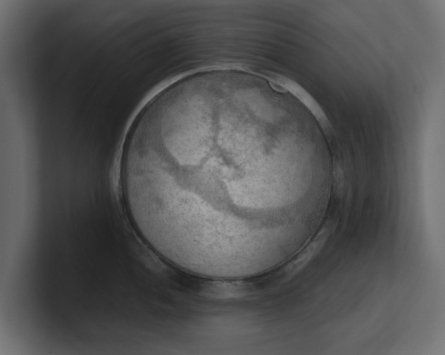 X0000100481052200806271158