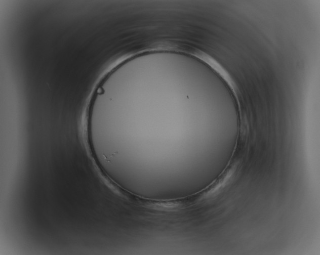 X0000100481053200806271158