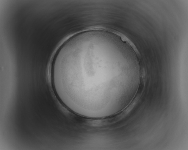 X0000100481054200806271158
