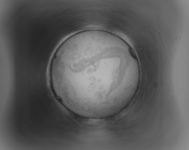 X0000100481056200806271158
