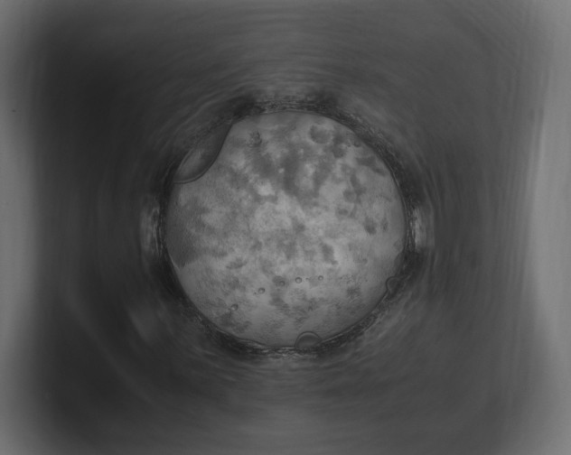 X0000100481059200806271158