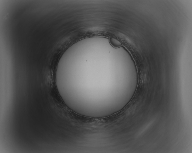 X0000100481062200806271158