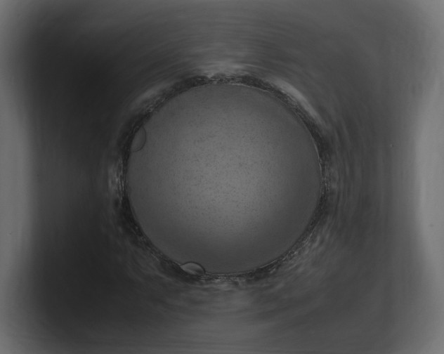 X0000100481063200806271157
