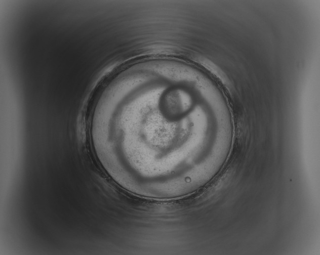 X0000100481067200806271157