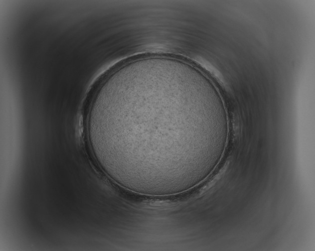 X0000100481070200806271157