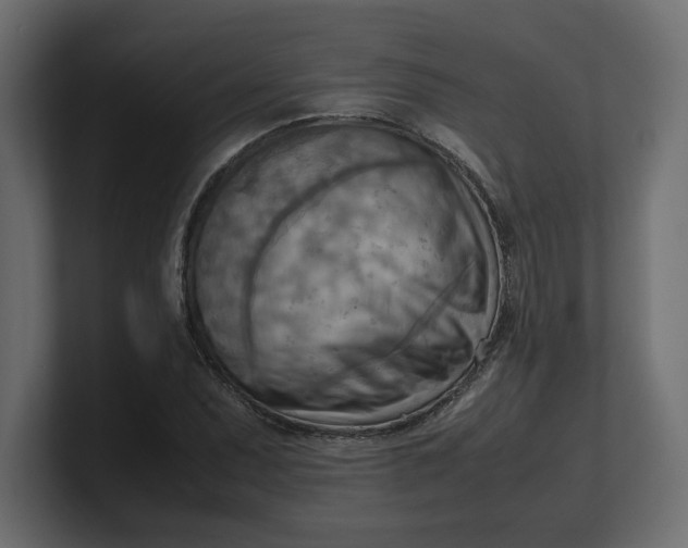 X0000100481071200806271157