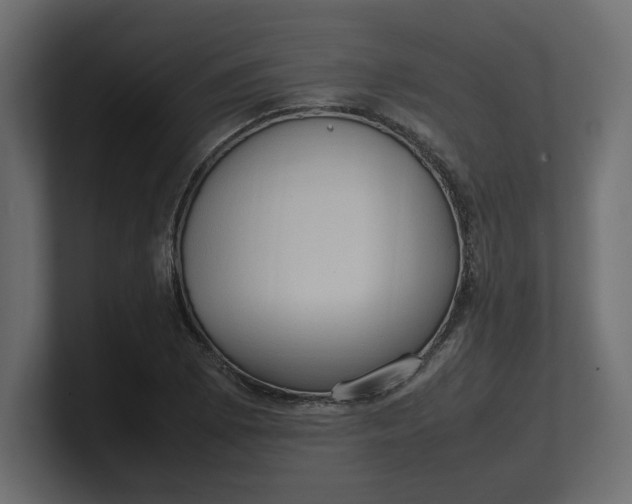 X0000100481073200806271157