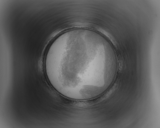 X0000100481074200806271157