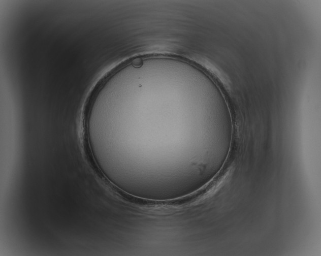 X0000100481077200806271157