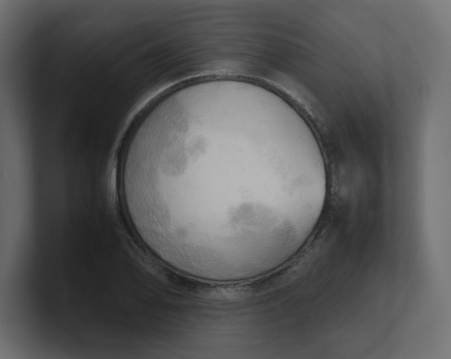 X0000100481078200806271157