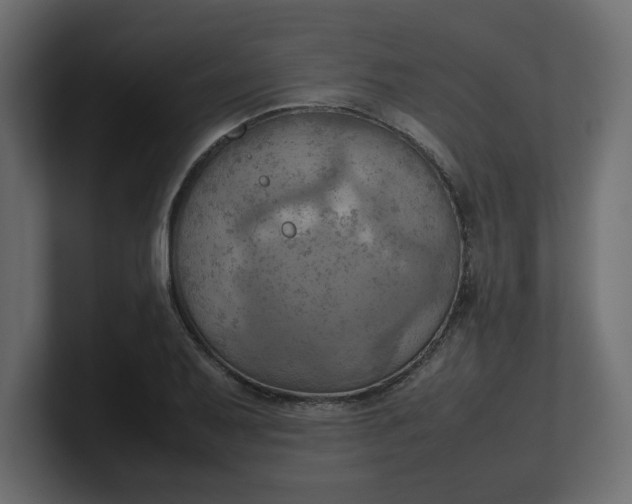 X0000100481079200806271157