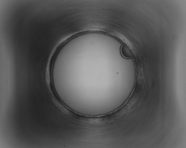 X0000100481080200806271157