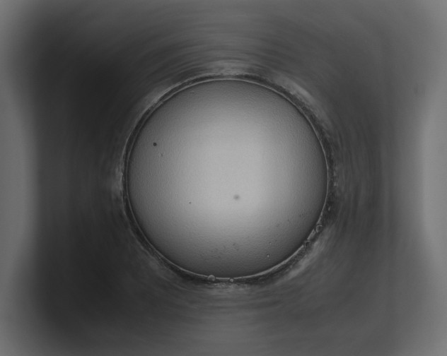 X0000100481081200806271157