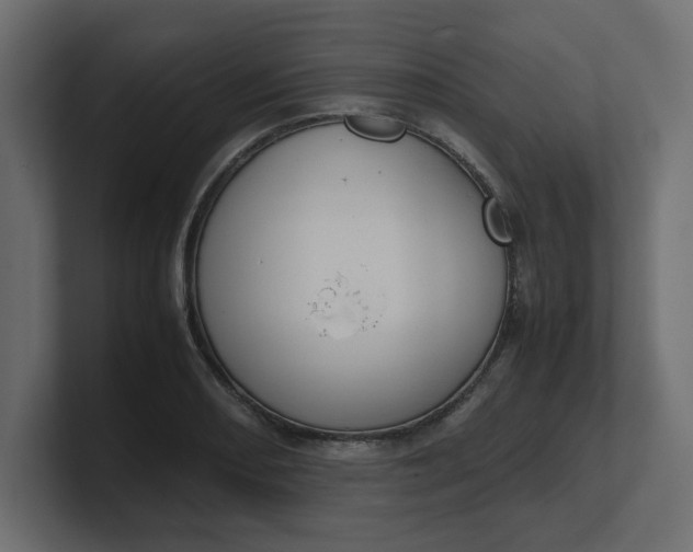 X0000100481082200806271157