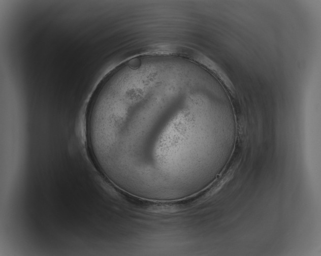 X0000100481083200806271157