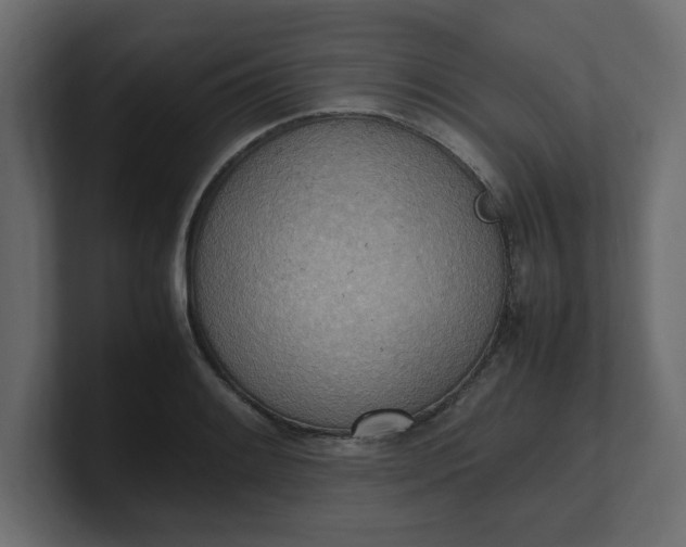 X0000100481084200806271157