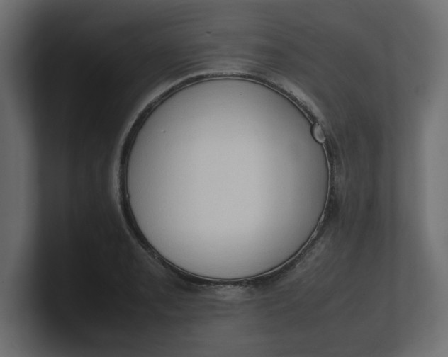 X0000100481085200806271157