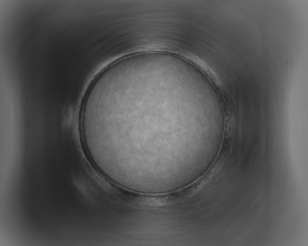 X0000100481086200806271157