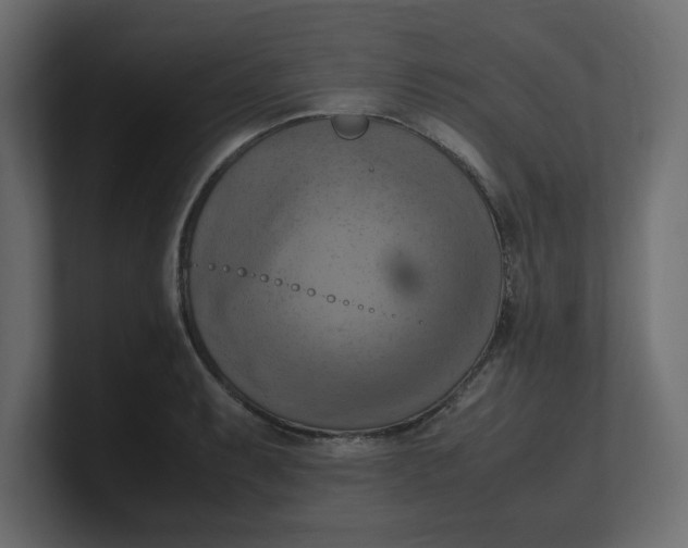 X0000100481087200806271157