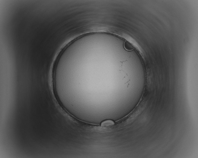 X0000100481088200806271157