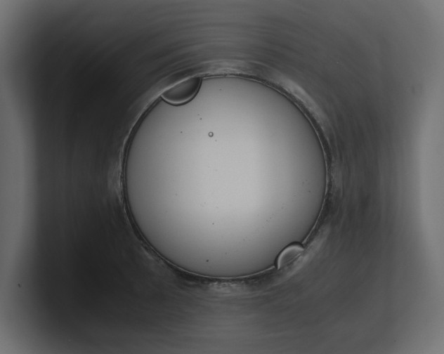 X0000100481089200806271157