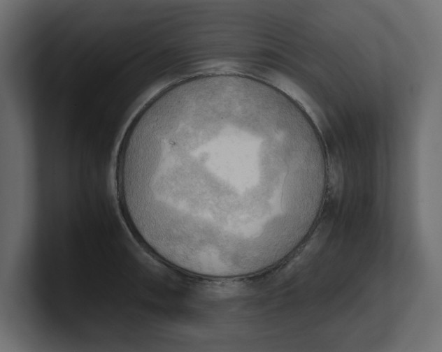 X0000100481090200806271157