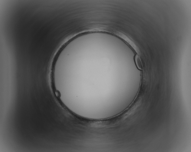 X0000100481093200806271157