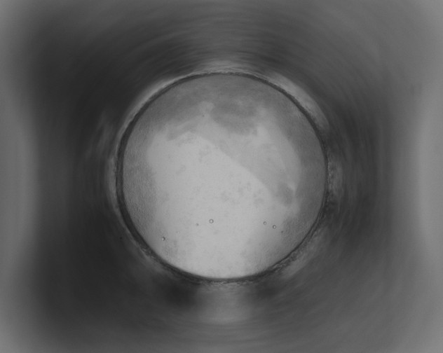 X0000100481094200806271157