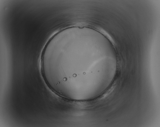 X0000100481095200806271157