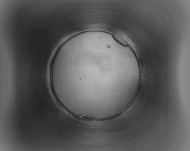 X0000100481096200806271157