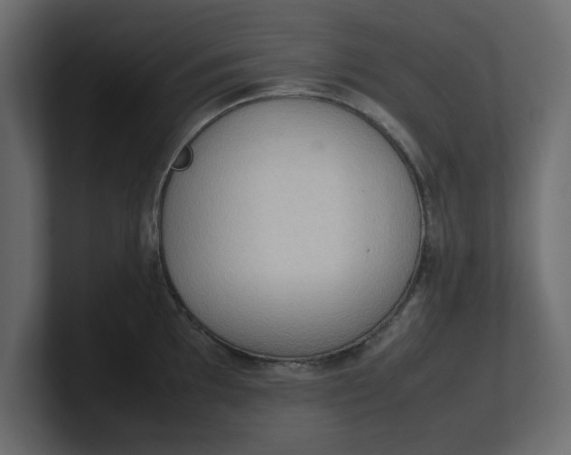 X0000100481097200806271157
