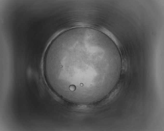 X0000100481098200806271157