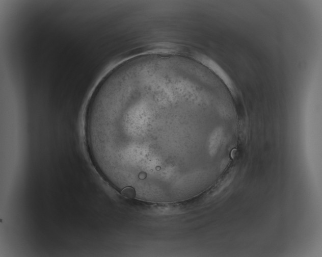 X0000100481099200806271157