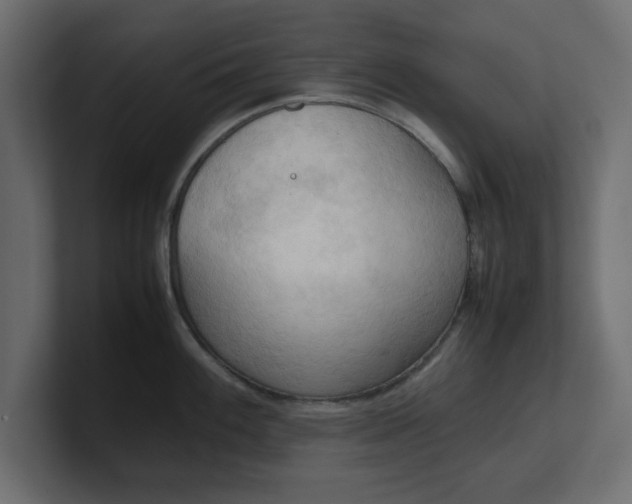 X0000100481100200806271157