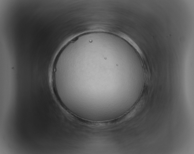 X0000100481101200806271157